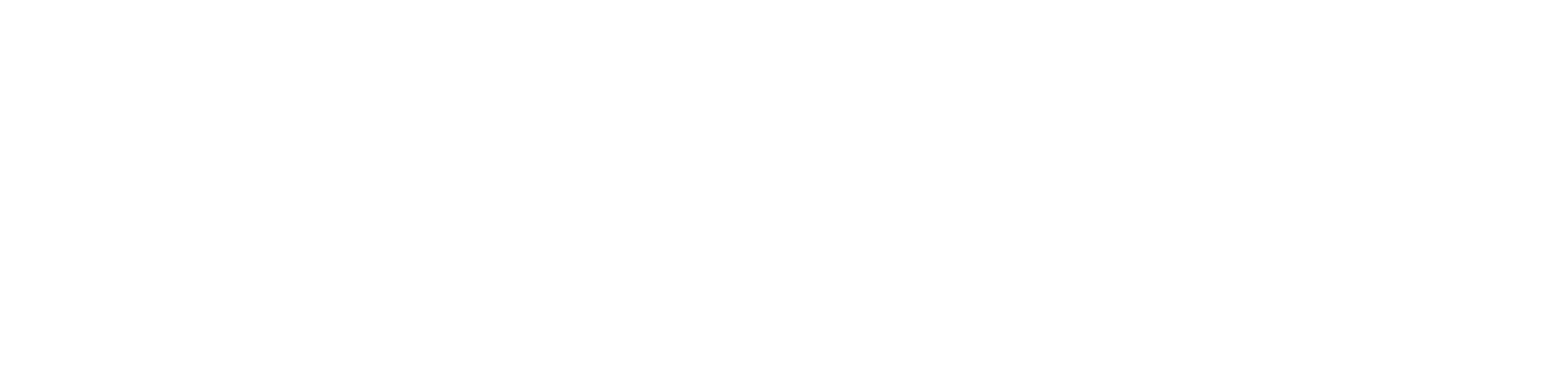 Automobile Reisenhofer GmbH